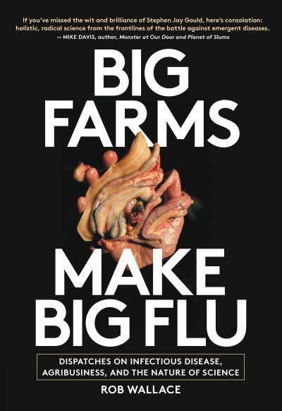 Organising in the time of Covid-19: Big farms make big flu